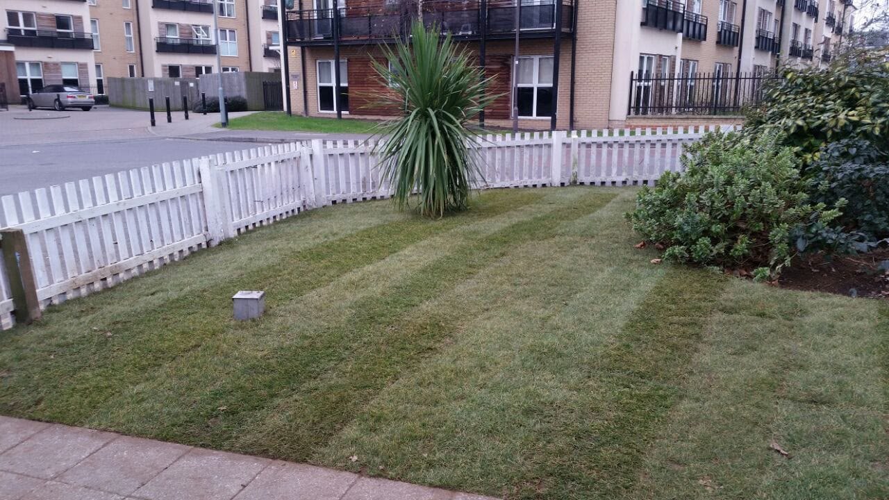 After — New lawn laid behind a white picket fence